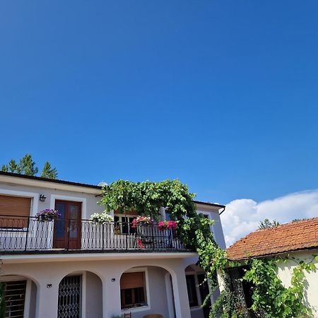 Апартаменти La Casa Nella Vigna Colline Del Vino Капаннорі Екстер'єр фото