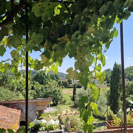 Апартаменти La Casa Nella Vigna Colline Del Vino Капаннорі Екстер'єр фото