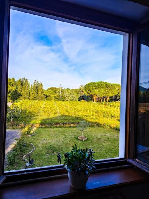 Апартаменти La Casa Nella Vigna Colline Del Vino Капаннорі Екстер'єр фото