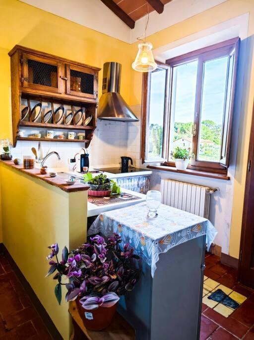 Апартаменти La Casa Nella Vigna Colline Del Vino Капаннорі Екстер'єр фото