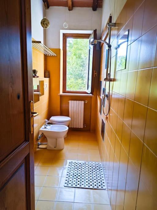 Апартаменти La Casa Nella Vigna Colline Del Vino Капаннорі Екстер'єр фото