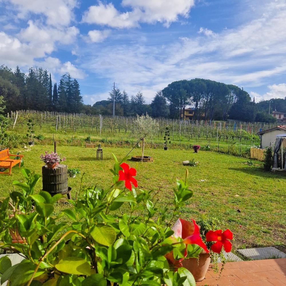 Апартаменти La Casa Nella Vigna Colline Del Vino Капаннорі Екстер'єр фото