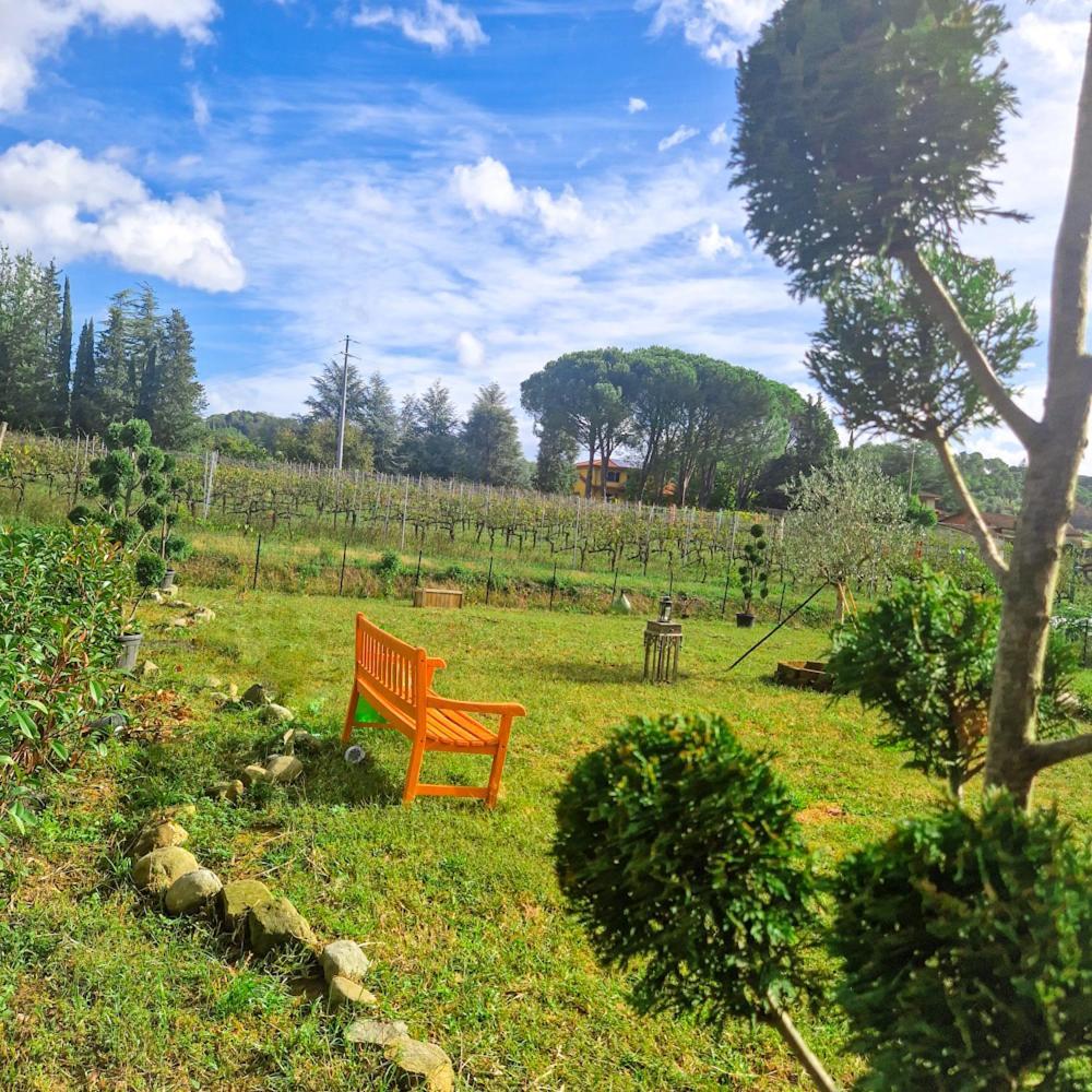 Апартаменти La Casa Nella Vigna Colline Del Vino Капаннорі Екстер'єр фото