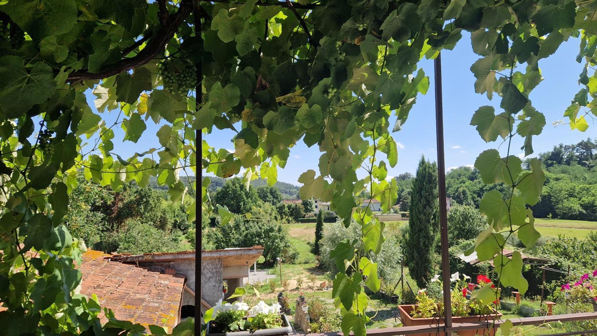 Апартаменти La Casa Nella Vigna Colline Del Vino Капаннорі Екстер'єр фото